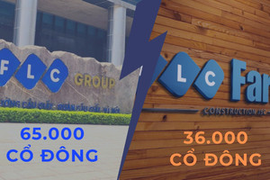 FLC và ROS sau hủy niêm yết: 1 thương hiệu - 2 số phận, ai bảo vệ quyền lợi 92.000 cổ đông?