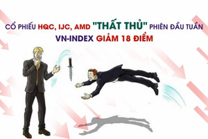 Cổ phiếu HQC, IJC, AMD "thất thủ" phiên đầu tuần, VN-Index giảm 18 điểm