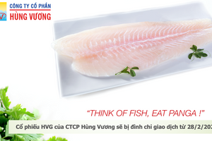 Cổ phiếu HVG bị đình chỉ giao dịch, Hùng Vương vang bóng một thời nay còn lại gì?