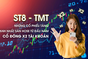 ST8 - TMT, những cổ phiếu tăng mạnh nhất sàn HOSE từ đầu năm, cổ đông X2 tài khoản