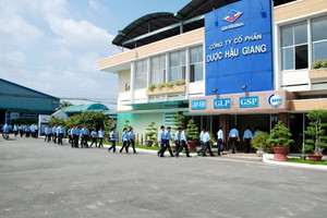 Dược Hậu Giang (DHG) chuẩn bị chia cổ tức bằng tiền tỷ lệ 35%