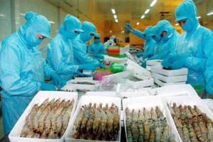 Seaprodex (SEA): Một cổ đông lớn bán gần 7 triệu cổ phiếu trong 3 ngày