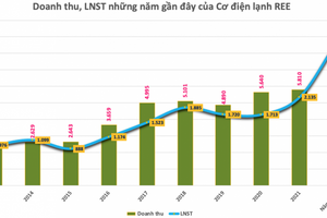 Cơ điện lạnh (REE): Dành 888 tỷ đồng chia cổ tức năm 2022 tổng tỷ lệ 25%