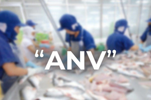 Mua gì hôm nay? Cá tra sẽ “hot” lại vào quý 3/2023 - ANV tiến vào chu kỳ tăng giá