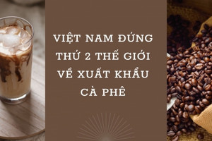 [Infographic]: Việt Nam đứng thứ 2 thế giới về xuất khẩu cà phê