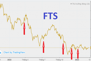 Một tổ chức ngoại quốc tiếp tục "trung bình giá xuống" cổ phiếu FTS