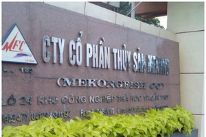 Thủy sản Mekong (AAM) thay đổi nhân sự cấp cao, chuẩn bị chia cổ tức bằng tiền mặt