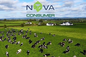 Nova Consumer (NCG) dự lãi năm 2023 giảm 70%, tiếp tục triển khai kế hoạch niêm yết