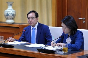 Góp ý thuế tối thiểu toàn cầu: Một góc nhìn từ doanh nghiệp FDI