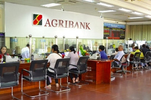 Lãi suất "ông lớn" Agribank tháng 4/2023: Đồng loạt giảm mạnh