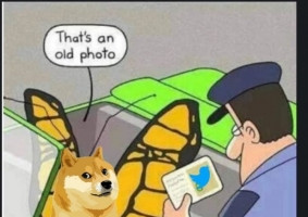 Dogecoin bật tăng 30% sau khi Elon Musk đổi logo Twitter thành hình chó Shiba