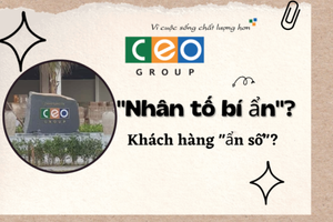 CEO Group nhìn từ “nhân tố bí ẩn” nhận gần trăm tỷ cổ tức và các “khách hàng ẩn số”