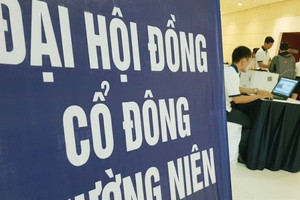 [Cập nhật] Những vấn đề "nóng" được cổ đông "khui ra" mùa ĐHCĐ thường niên 2023
