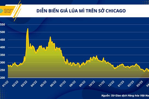 Đa dạng nguồn cung nguyên liệu ngành chăn nuôi Việt Nam