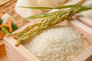 Giá lúa gạo hôm nay 14/4: Tăng 300 đồng đối với mặt hàng lúa