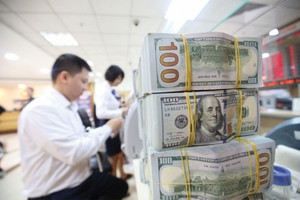 Dự báo: NHNN có thể mua 10 - 12 tỷ USD cho cả năm 2023