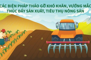 Infographic: Giải pháp thúc đẩy sản xuất, tiêu thụ nông sản