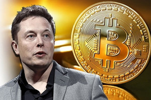 13 tỷ USD của tỷ phú Elon Musk bỗng "không cánh mà bay" chỉ trong một ngày