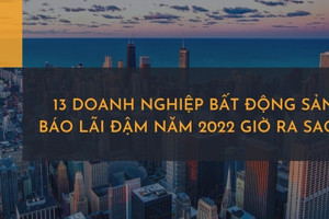 13 doanh nghiệp bất động sản báo lãi đậm năm 2022 giờ ra sao?