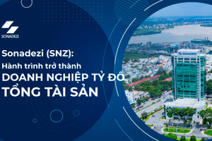 Sonadezi (SNZ): Hành trình trở thành doanh nghiệp tỷ đô về tổng tài sản