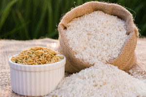 Giá lúa gạo hôm nay 5/5: Tăng với các loại gạo