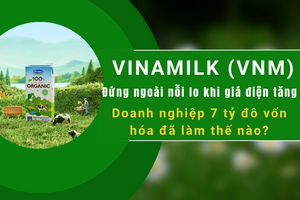 Vinamilk (VNM): Đứng ngoài nỗi lo khi giá điện tăng, doanh nghiệp 7 tỷ đô vốn hóa đã làm thế nào?