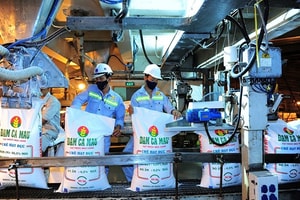 Đạm Cà Mau (DCM) nâng mức trả cổ tức năm 2022 cao gấp 6 lần kế hoạch