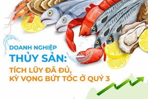 Doanh nghiệp thủy sản: Tích lũy đã đủ, kỳ vọng bứt tốc ở quý 3