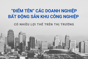 Điểm tên các doanh nghiệp bất động sản khu công nghiệp có nhiều lợi thế trên thị trường