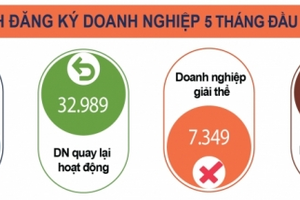 Hơn 12.000 doanh nghiệp thành lập mới trong tháng 5/2023