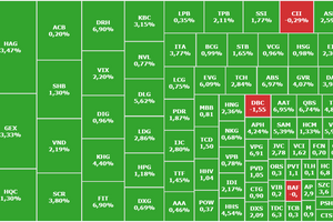 VN-Index vượt mốc 1.070: Bộ đôi DL1 - DLG, GEX - VIX gây chú ý