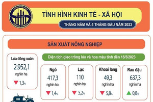 Tình hình kinh tế - xã hội tháng 5 và 5 tháng đầu năm 2023