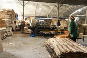 Doanh nghiệp chờ phá sản vì “ách tắc” hoàn thuế: Ai chịu trách nhiệm?