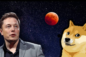 Elon Musk bị tố giao dịch nội gián Dogecoin