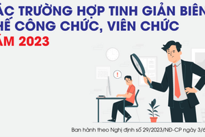 Infographics: Những đối tượng thuộc diện tinh giản biên chế