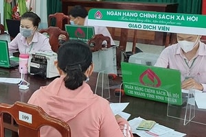 Đề xuất đưa ngân hàng xã hội vào trong phạm vi điều chỉnh xử lý nợ xấu