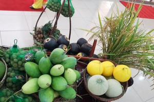 Cổ phiếu AFX miệt mài giảm giá sau 7 tháng hứa hẹn niêm yết sàn HOSE