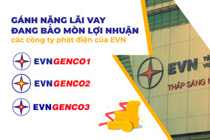 Vay nợ hàng chục nghìn tỷ, các công ty phát điện của EVN oằn lưng trả lãi!