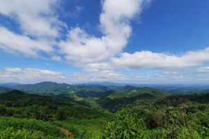 Quảng Ninh thu hồi dự án dược liệu quy mô "khủng", từng được kỳ vọng lớn