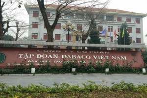 Hối hả DBC: Cổ phiếu tăng 45% vì đâu?