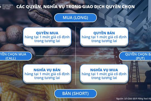 Chuẩn bị giao dịch Hợp đồng quyền chọn hàng hóa tại Việt Nam