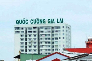 Toàn cảnh vụ kiện giữa Quốc Cường Gia Lai với Sunny Island khiến C03 phải vào cuộc