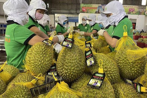 Xuất khẩu tiếp đà tăng trưởng, xuất siêu hơn 12 tỷ USD