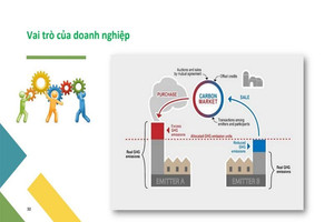 Gỡ vướng về cơ chế, chính sách để phát triển thị trường carbon