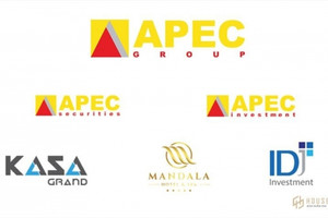 Apec Investment huỷ chào bán 84 triệu cổ phiếu, API bật tăng 5,71%