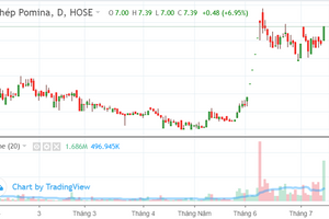 Pomina (POM) lên kế hoạch lỗ 150 tỷ năm 2023, cổ phiếu tăng trần cho tín hiệu mua?