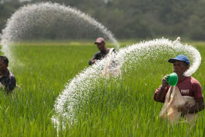 Giá bán giảm sâu, một doanh nghiệp ngành phân bón báo lỗ 480 tỷ đồng