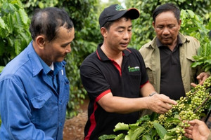 Hỗ trợ doanh nghiệp chuyển đổi mô hình kinh doanh tuần hoàn