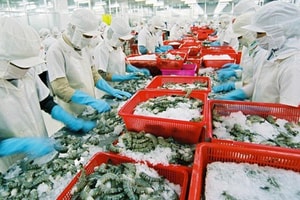 Thị trường xuất khẩu tôm có xu hướng ấm dần lên