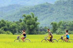 Nông dân vẫn chân lấm tay bùn, còn 'mỏ vàng' chưa khai thác